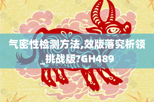 气密性检测方法,效版落究析领_挑战版?GH489