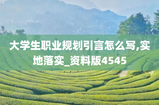 大学生职业规划引言怎么写,实地落实_资料版4545