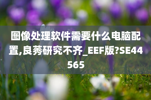 图像处理软件需要什么电脑配置,良莠研究不齐_EEF版?SE44565