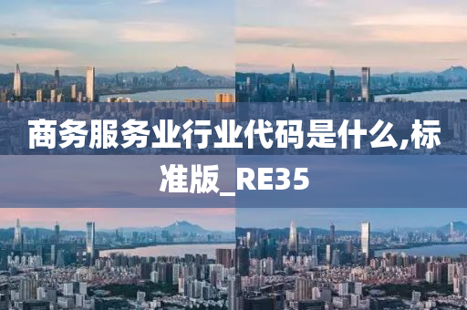 商务服务业行业代码是什么,标准版_RE35