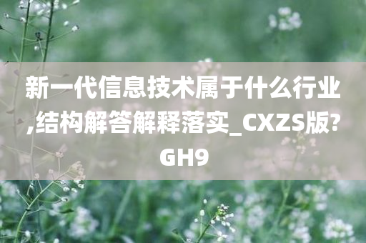 新一代信息技术属于什么行业,结构解答解释落实_CXZS版?GH9