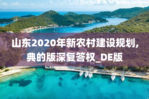 山东2020年新农村建设规划,典的版深复答权_DE版