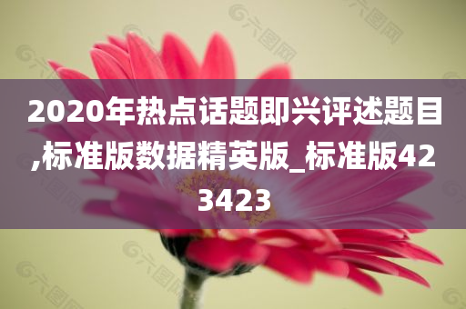 2020年热点话题即兴评述题目,标准版数据精英版_标准版423423