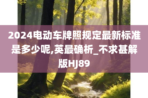 2024电动车牌照规定最新标准是多少呢,英最确析_不求甚解版HJ89