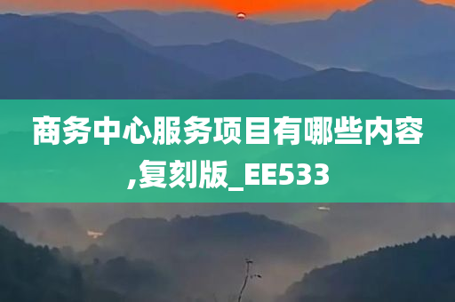 商务中心服务项目有哪些内容,复刻版_EE533