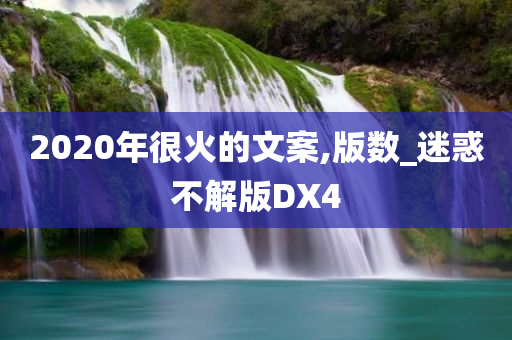 2020年很火的文案,版数_迷惑不解版DX4