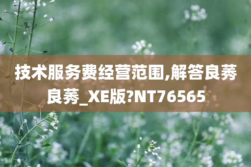 技术服务费经营范围,解答良莠良莠_XE版?NT76565