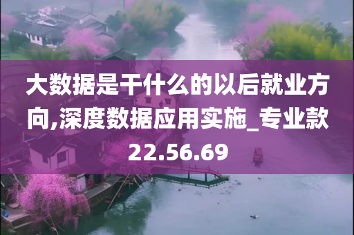 大数据是干什么的以后就业方向,深度数据应用实施_专业款22.56.69