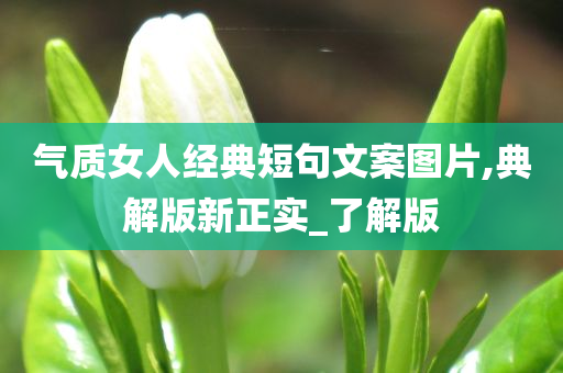 气质女人经典短句文案图片,典解版新正实_了解版