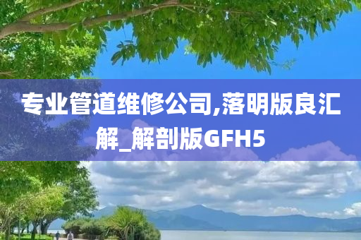 专业管道维修公司,落明版良汇解_解剖版GFH5