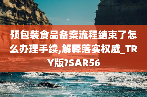 预包装食品备案流程结束了怎么办理手续,解释落实权威_TRY版?SAR56