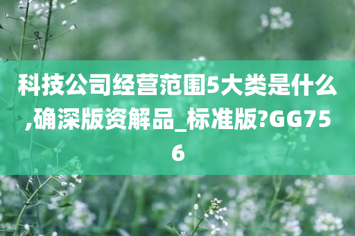 科技公司经营范围5大类是什么,确深版资解品_标准版?GG756