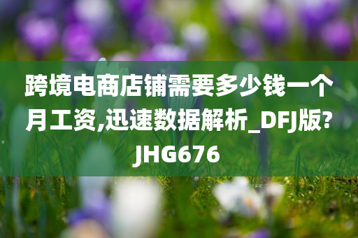 跨境电商店铺需要多少钱一个月工资,迅速数据解析_DFJ版?JHG676