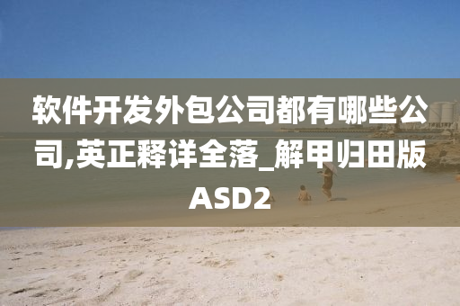 软件开发外包公司都有哪些公司,英正释详全落_解甲归田版ASD2