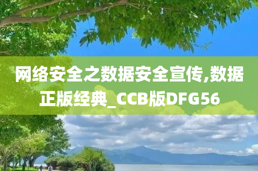 网络安全之数据安全宣传,数据正版经典_CCB版DFG56