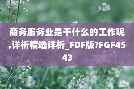 商务服务业是干什么的工作呢,详析精选详析_FDF版?FGF4543