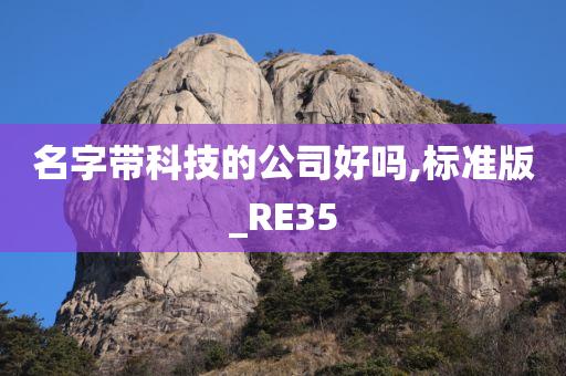 名字带科技的公司好吗,标准版_RE35