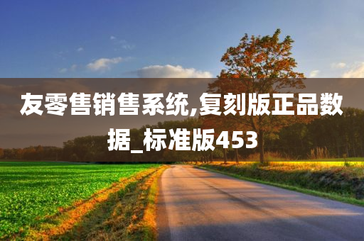 友零售销售系统,复刻版正品数据_标准版453