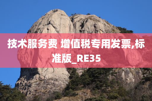 技术服务费 增值税专用发票,标准版_RE35