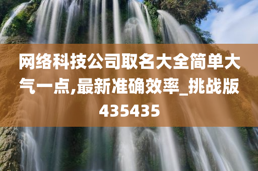 网络科技公司取名大全简单大气一点,最新准确效率_挑战版435435