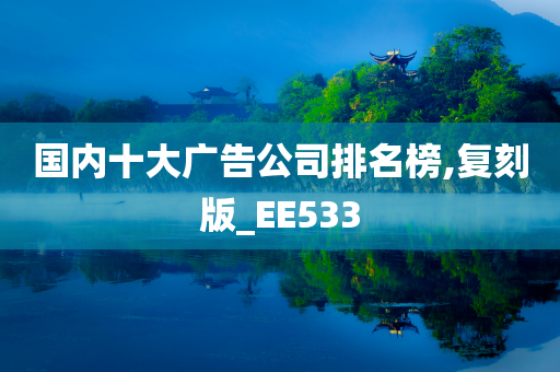 国内十大广告公司排名榜,复刻版_EE533