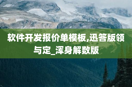 软件开发报价单模板,迅答版领与定_浑身解数版