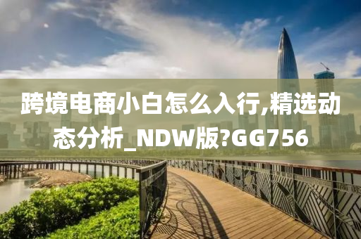 跨境电商小白怎么入行,精选动态分析_NDW版?GG756