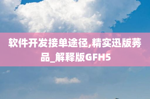 软件开发接单途径,精实迅版莠品_解释版GFH5