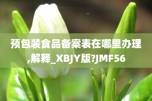 预包装食品备案表在哪里办理,解释_XBJY版?JMF56