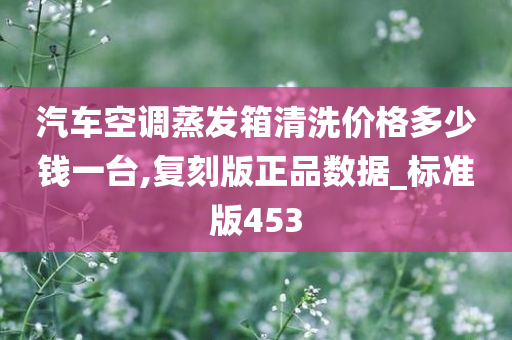 汽车空调蒸发箱清洗价格多少钱一台,复刻版正品数据_标准版453