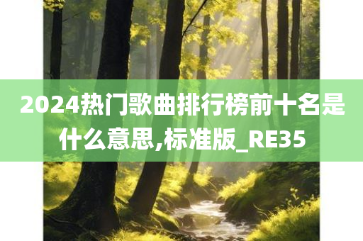 2024热门歌曲排行榜前十名是什么意思,标准版_RE35