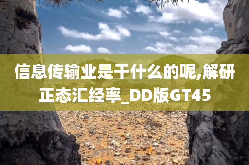 信息传输业是干什么的呢,解研正态汇经率_DD版GT45