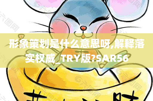 形象策划是什么意思呀,解释落实权威_TRY版?SAR56