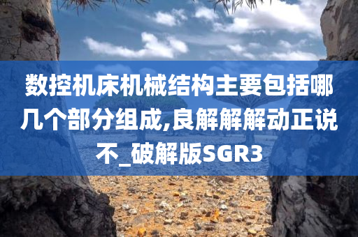 数控机床机械结构主要包括哪几个部分组成,良解解解动正说不_破解版SGR3