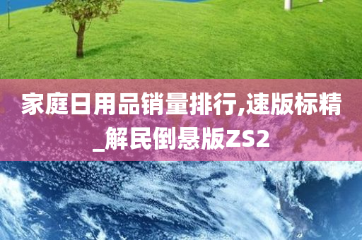 家庭日用品销量排行,速版标精_解民倒悬版ZS2