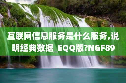 互联网信息服务是什么服务,说明经典数据_EQQ版?NGF89