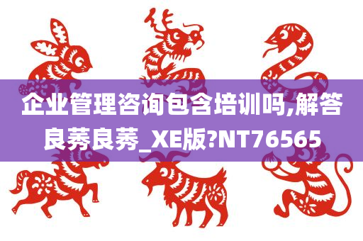 企业管理咨询包含培训吗,解答良莠良莠_XE版?NT76565