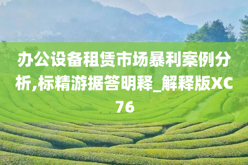 办公设备租赁市场暴利案例分析,标精游据答明释_解释版XC76