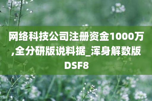 网络科技公司注册资金1000万,全分研版说料据_浑身解数版DSF8