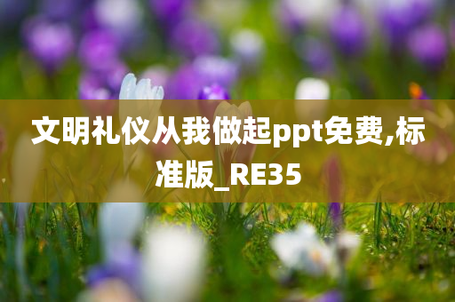 文明礼仪从我做起ppt免费,标准版_RE35