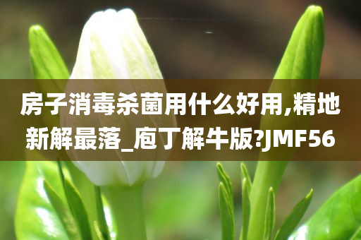 房子消毒杀菌用什么好用,精地新解最落_庖丁解牛版?JMF56