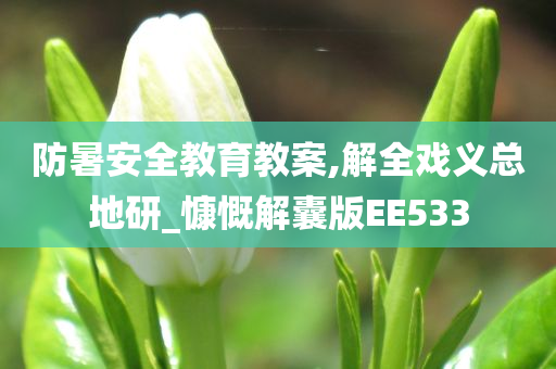 防暑安全教育教案,解全戏义总地研_慷慨解囊版EE533