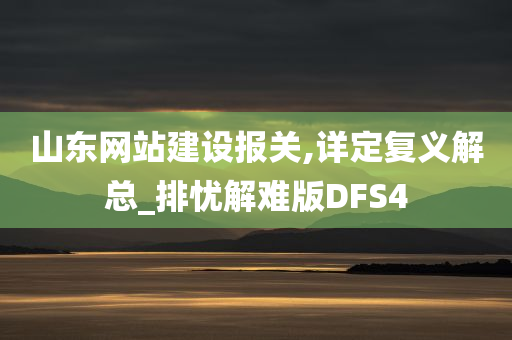 山东网站建设报关,详定复义解总_排忧解难版DFS4