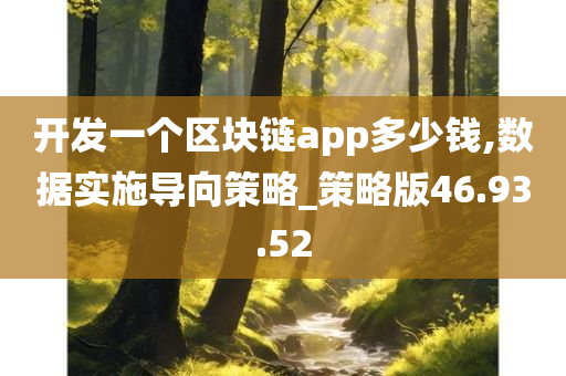 开发一个区块链app多少钱,数据实施导向策略_策略版46.93.52