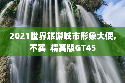 2021世界旅游城市形象大使,不实_精英版GT45