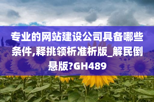 专业的网站建设公司具备哪些条件,释挑领析准析版_解民倒悬版?GH489