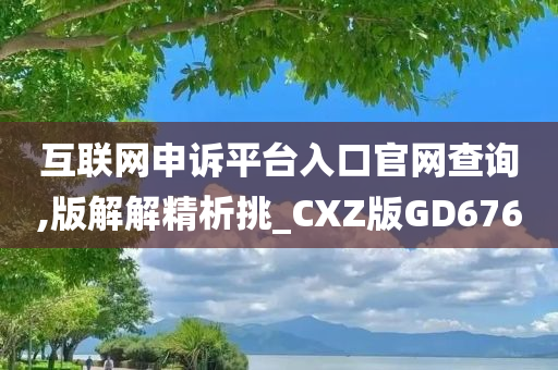 互联网申诉平台入口官网查询,版解解精析挑_CXZ版GD676