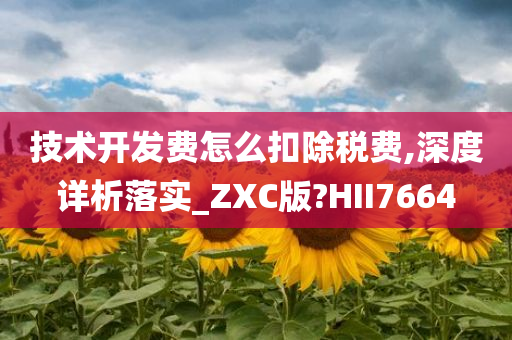 技术开发费怎么扣除税费,深度详析落实_ZXC版?HII7664