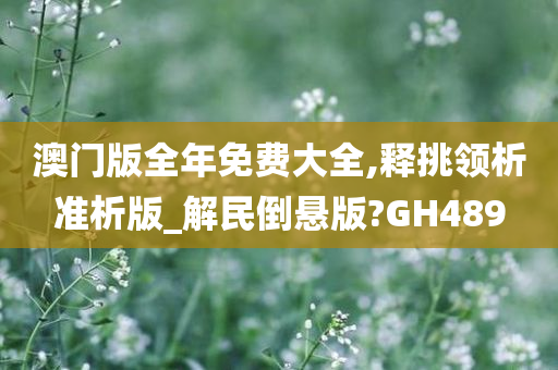 澳门版全年免费大全,释挑领析准析版_解民倒悬版?GH489