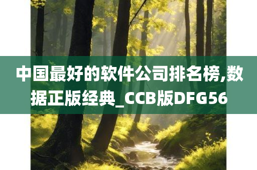 中国最好的软件公司排名榜,数据正版经典_CCB版DFG56